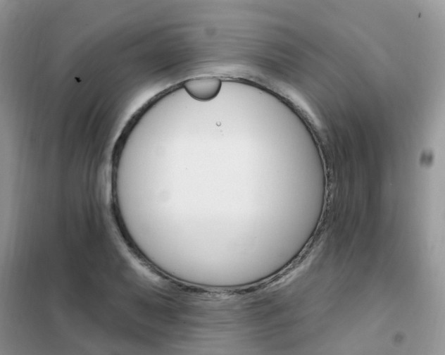 X0000102351079200808010930