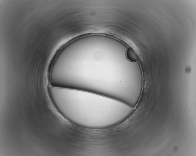 X0000102351080200808010930