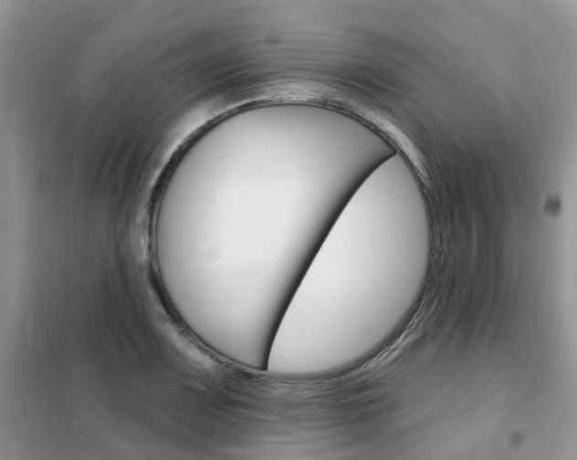 X0000102351083200808010930