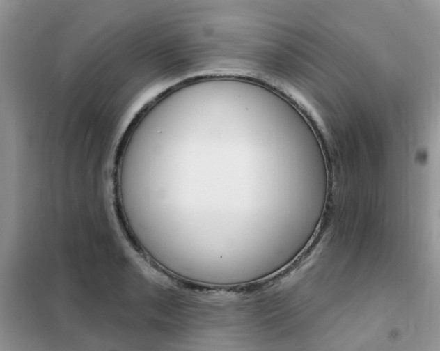 X0000102351085200808010930