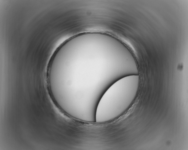 X0000102351087200808010930