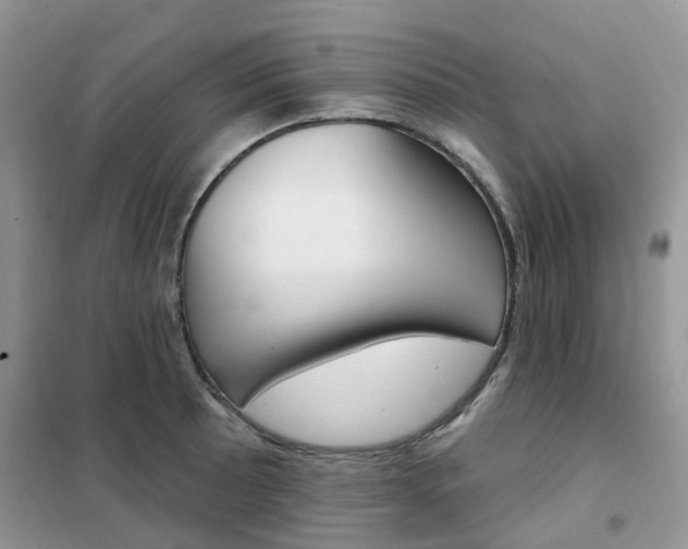 X0000102351089200808010930