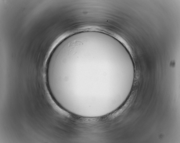 X0000102351090200808010930