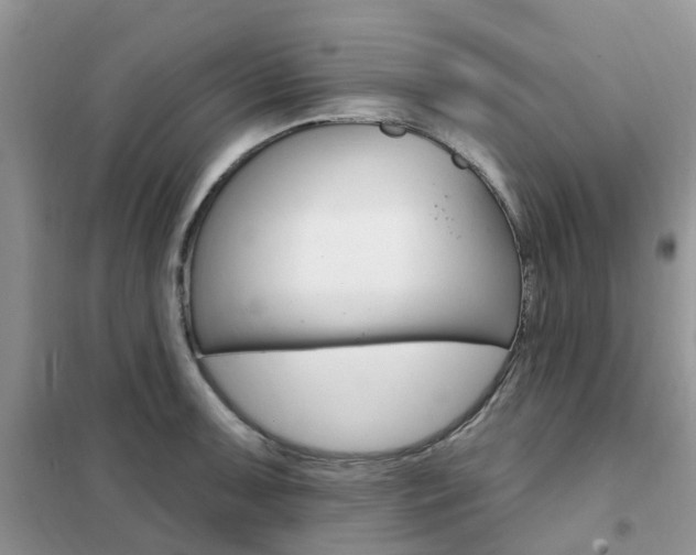 X0000102351091200808010930