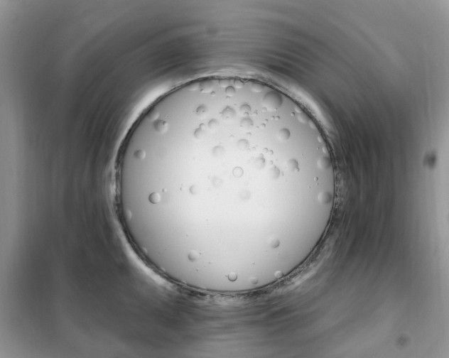 X0000102351095200808010930