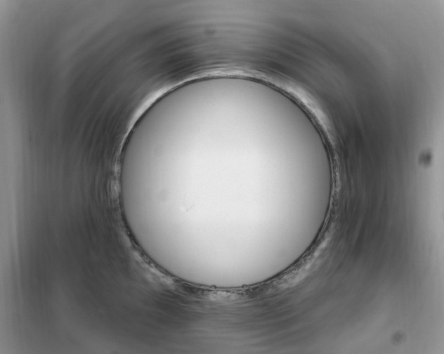 X0000102351097200808010930