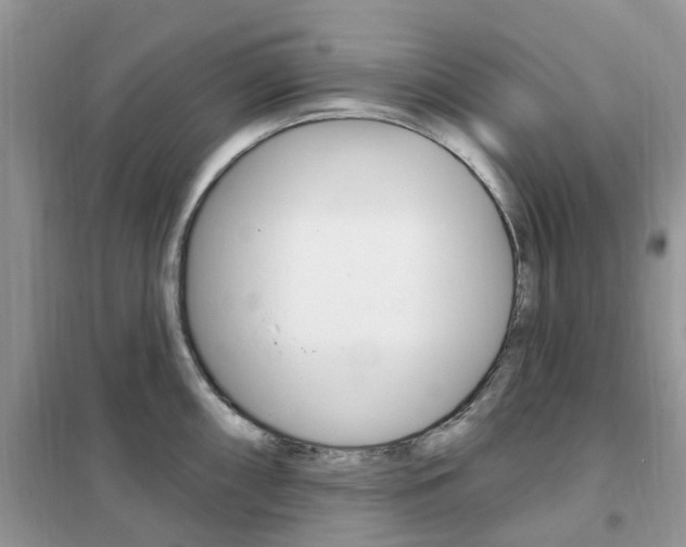 X0000102351098200808010930