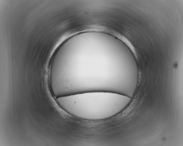 X0000102351099200808010930