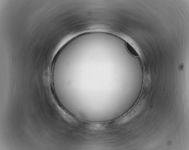 X0000102351101200808010930