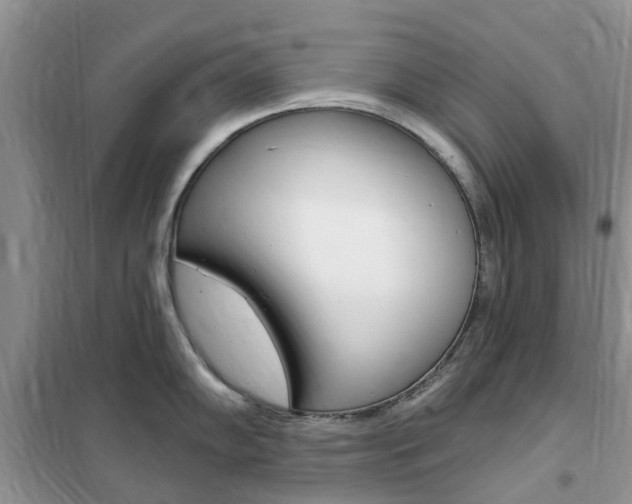X0000102351102200808010930