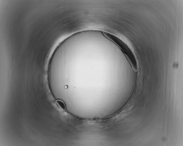 X0000102351104200808010930