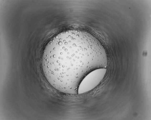 X0000102351105200808010929