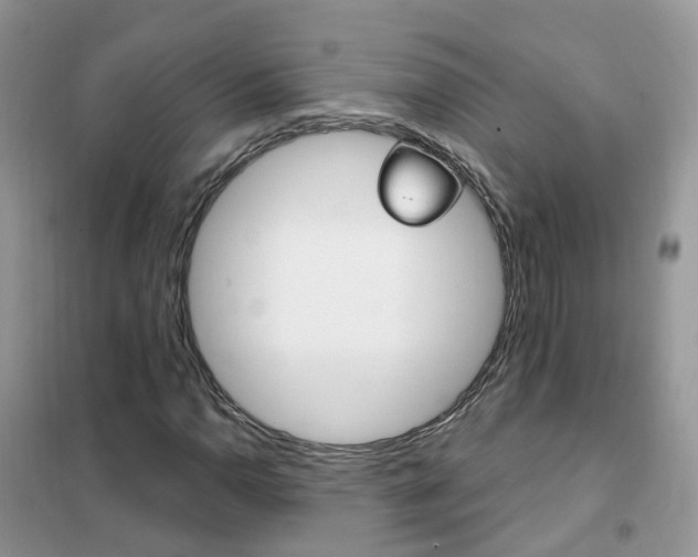 X0000102351110200808010929