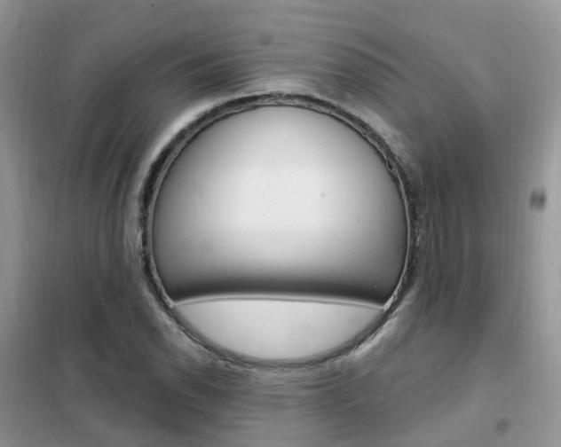 X0000102351118200808010929