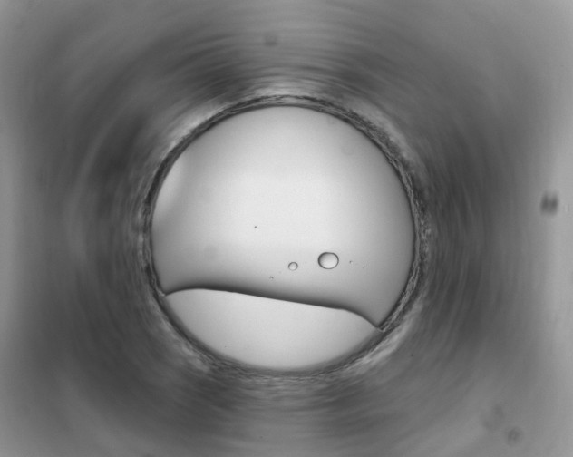 X0000102351121200808010929