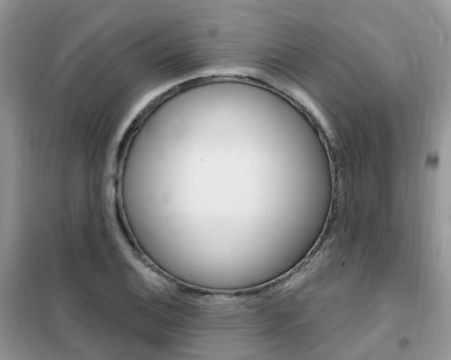 X0000102351124200808010929