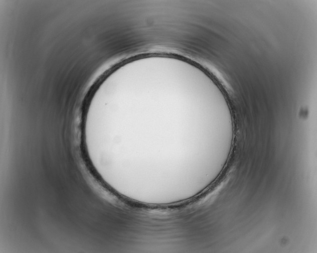 X0000102351126200808010929