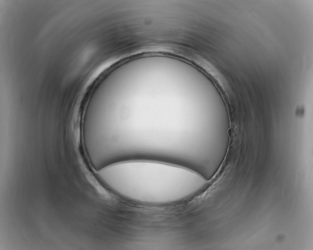 X0000102351127200808010929