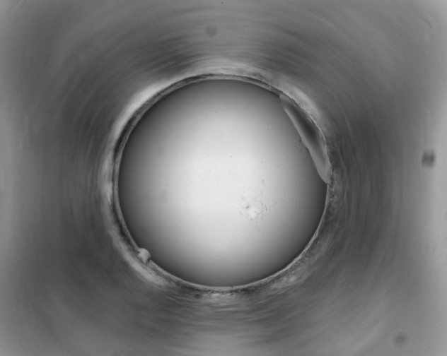 X0000102351128200808010930