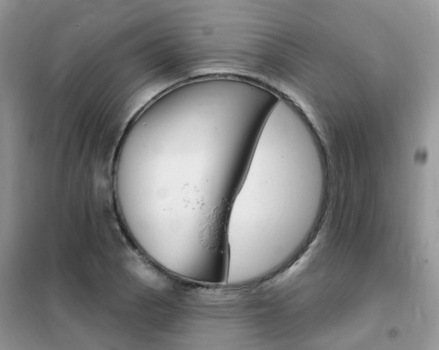 X0000102351129200808010930