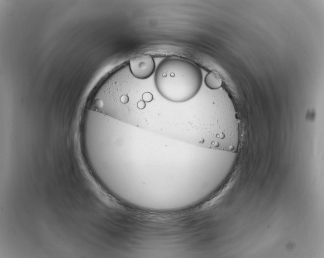 X0000102351130200808010930