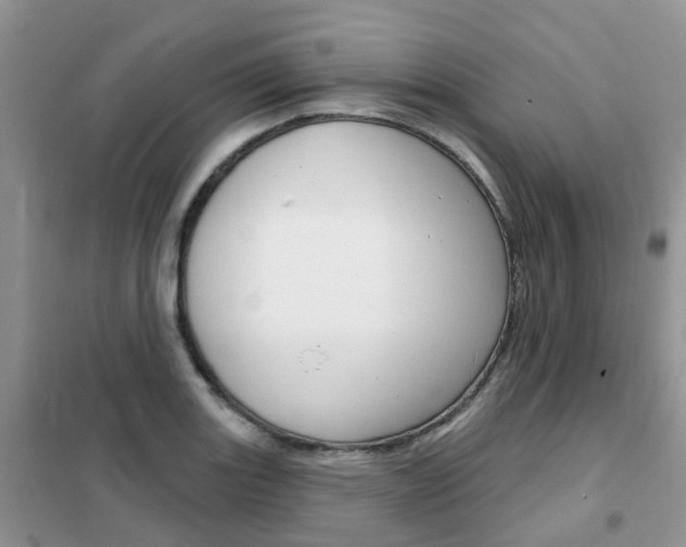 X0000102351131200808010930