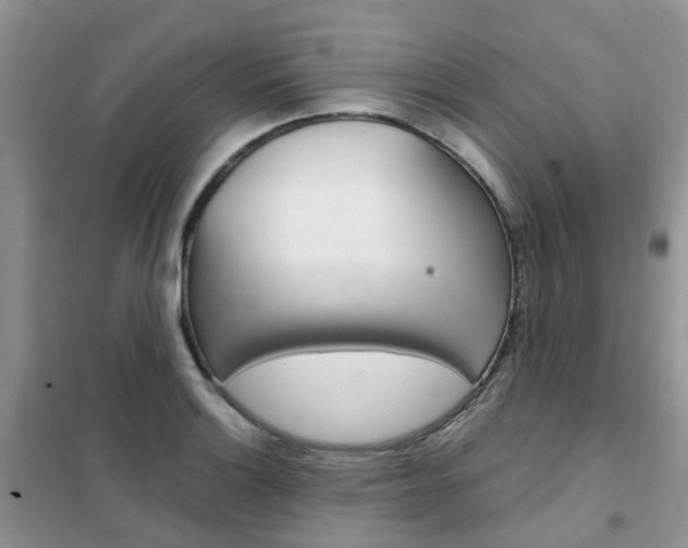 X0000102351132200808010930