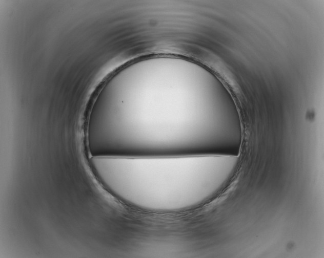 X0000102351133200808010930