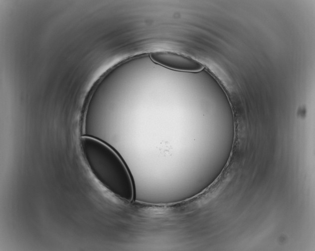 X0000102351134200808010930
