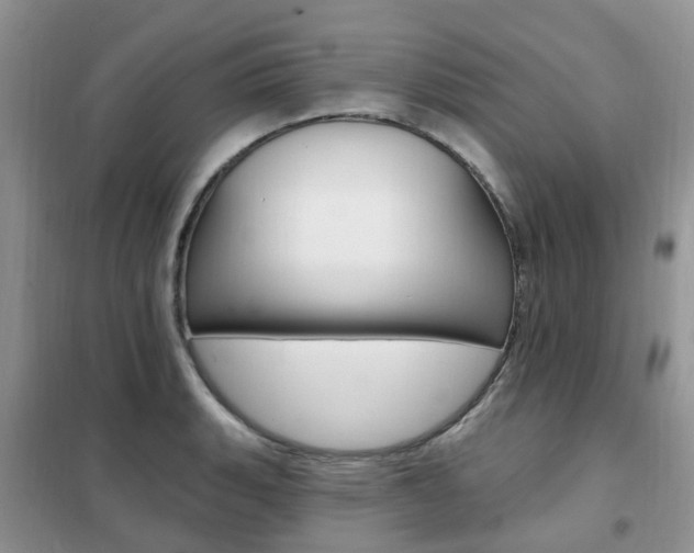 X0000102351135200808010930