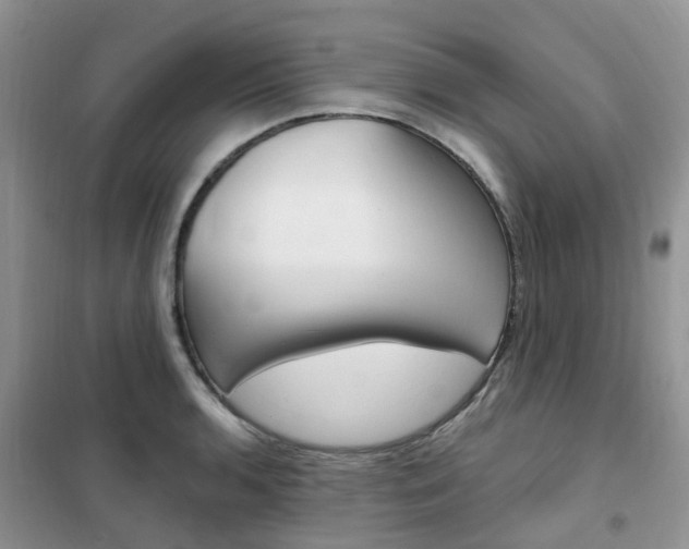 X0000102351136200808010930