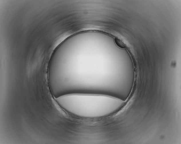 X0000102351137200808010930