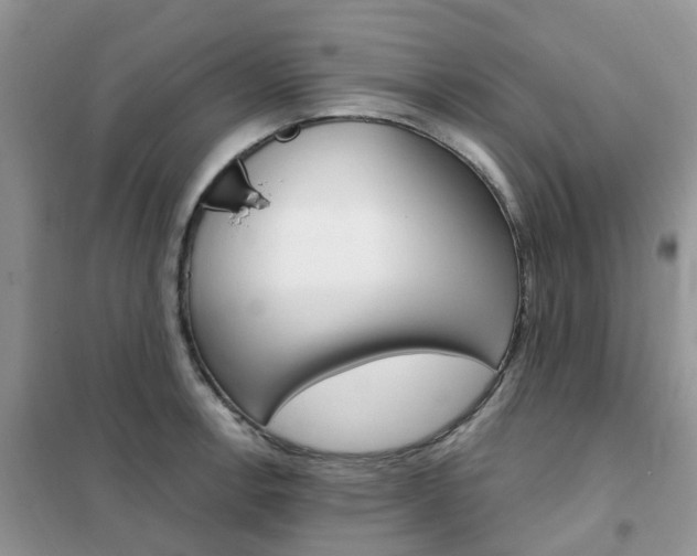 X0000102351138200808010930