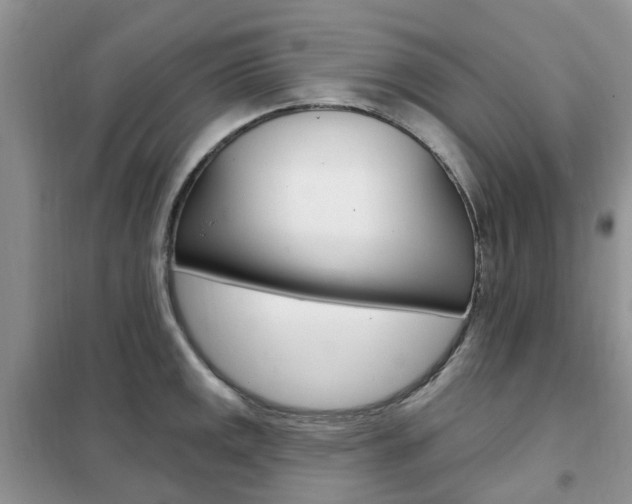 X0000102351141200808010930