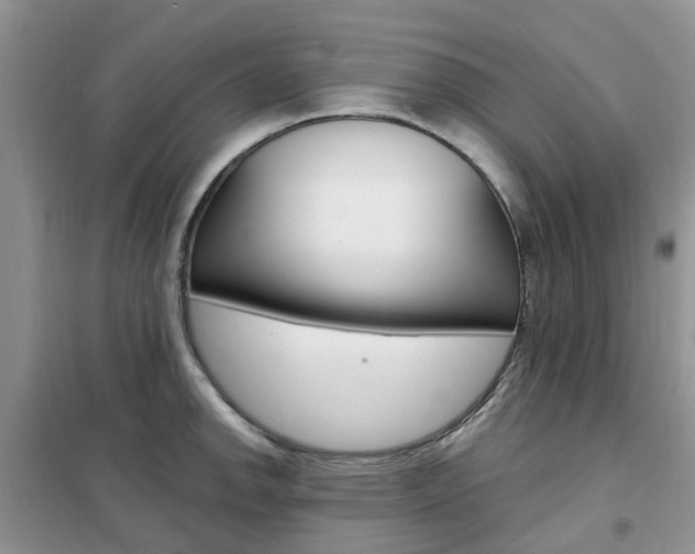 X0000102351142200808010930