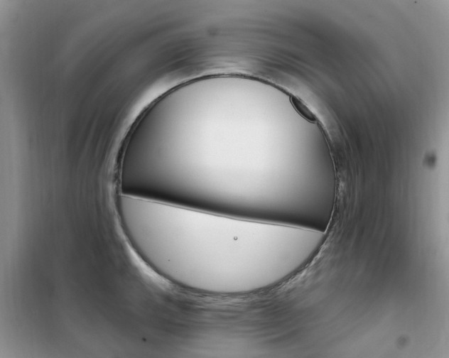 X0000102351143200808010930