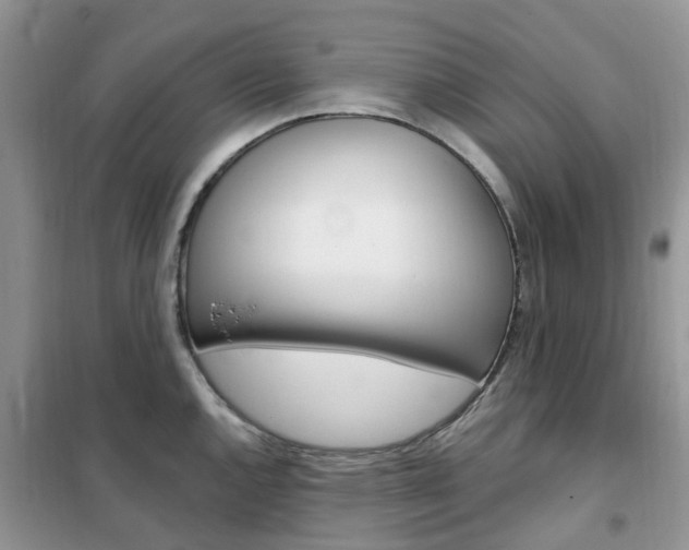 X0000102351144200808010930