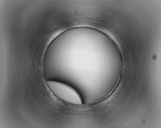 X0000102351145200808010930