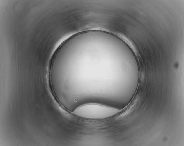 X0000102351149200808010930
