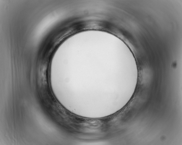 X0000102351150200808010930