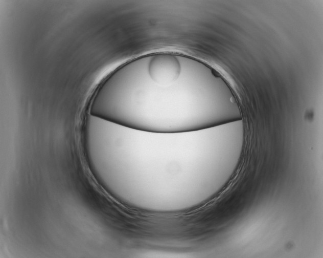 X0000102351151200808010930