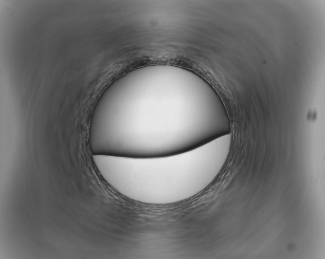X0000102351153200808010929