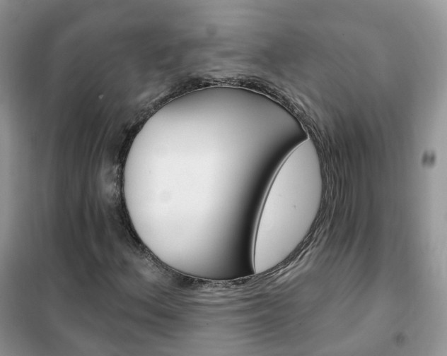 X0000102351156200808010929
