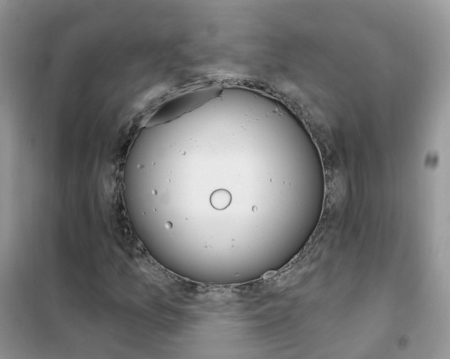 X0000102351157200808010929