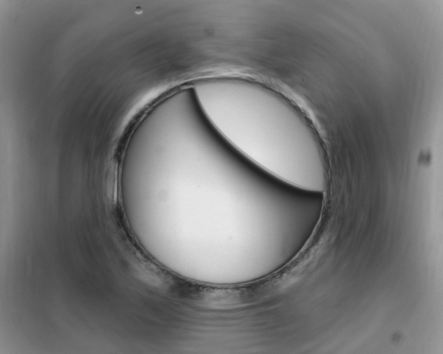 X0000102351171200808010929