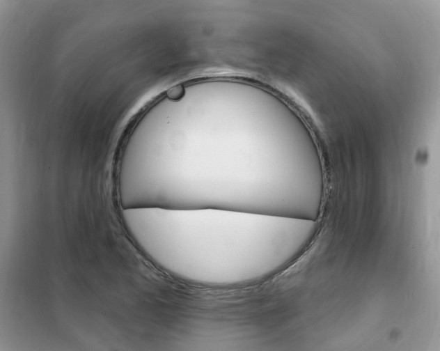 X0000102351173200808010929