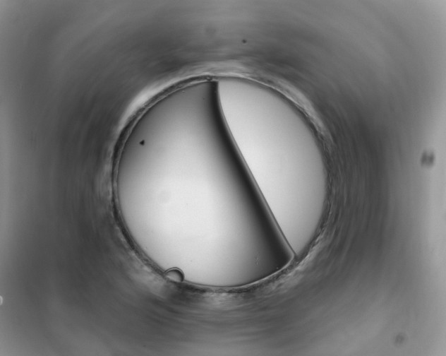 X0000102351176200808010929