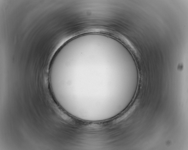 X0000102351178200808010929