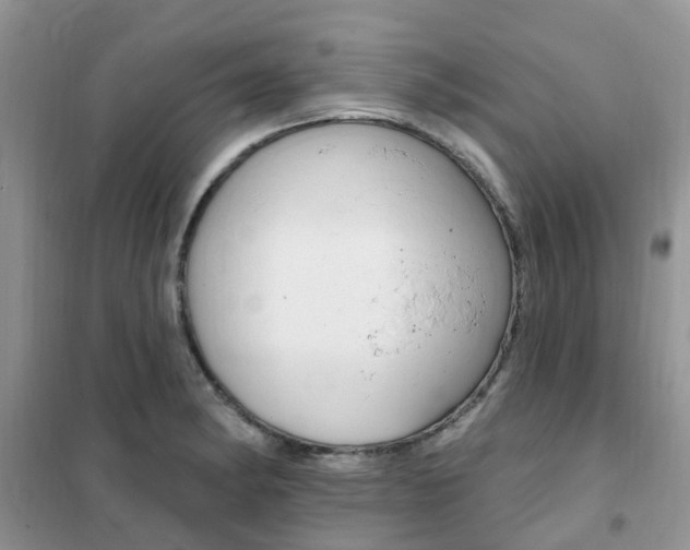 X0000102351182200808010929
