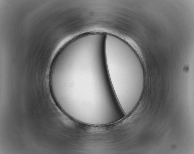 X0000102351183200808010929